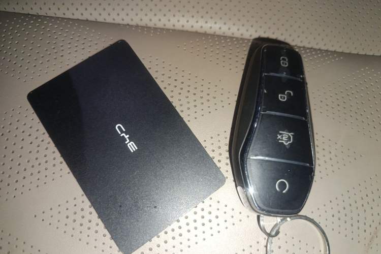 Used BYD Dolphin 2023 420 km Fashion Edition Vehicle Key