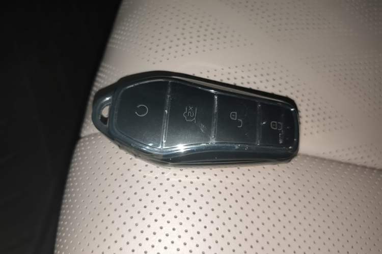 Used BYD Dolphin 2023 420 km Free Version Vehicle Key