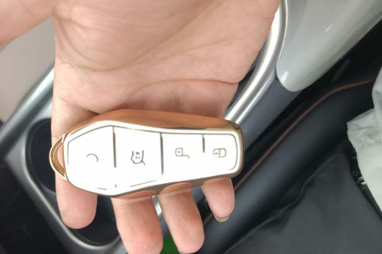 Used BYD Dolphin 2023 420 km Fashion Edition Vehicle Key