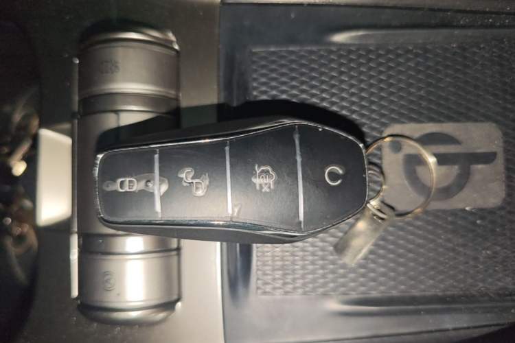 Used BYD Dolphin 2023 420 km Fashion Edition Vehicle Key