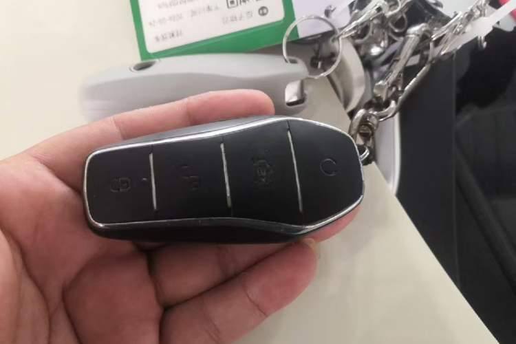 Used BYD Dolphin 2023 420 km Free Version Vehicle Key