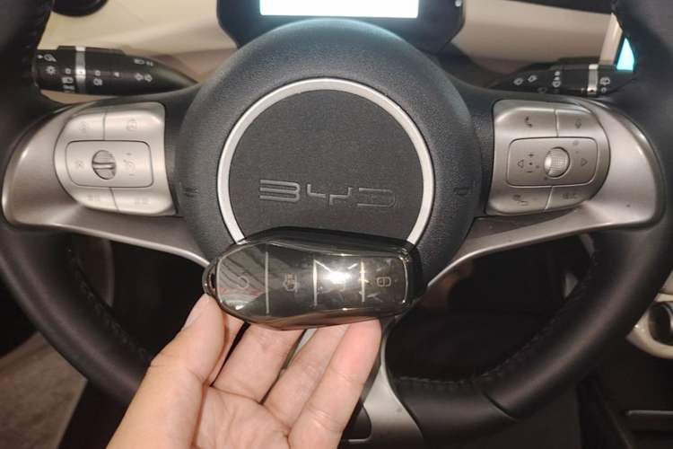 Used BYD Dolphin 2023 420 km Free Version Vehicle Key