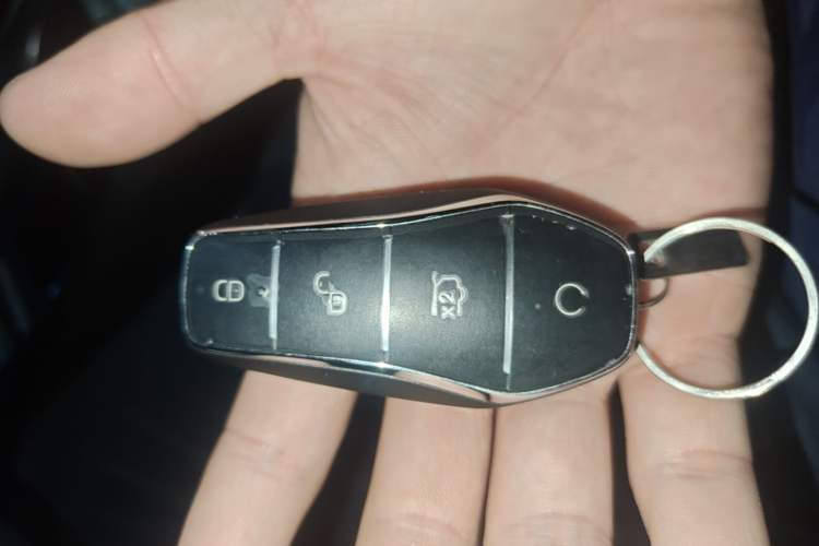 Used BYD Dolphin 2023 420 km Fashion Edition Vehicle Key