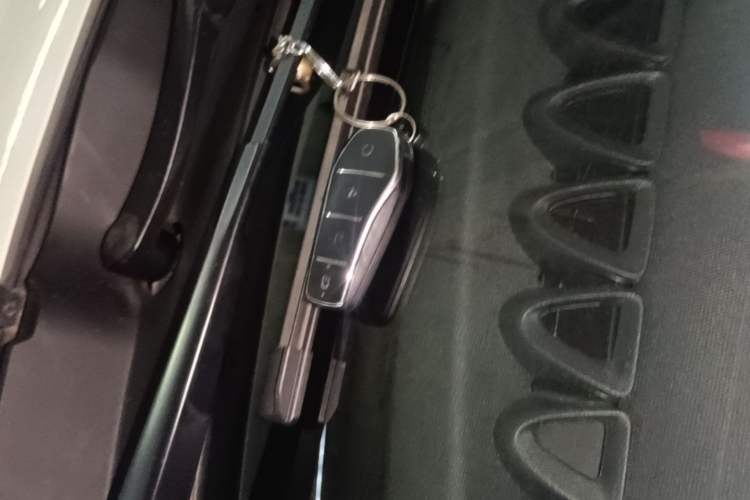 Used BYD Dolphin 2023 420 km Free Version Vehicle Key