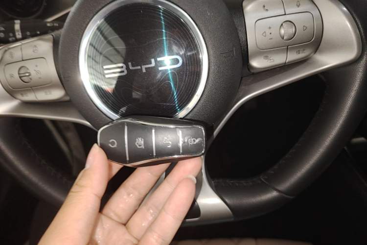 Used BYD Dolphin 2023 420 km Free Version Vehicle Key