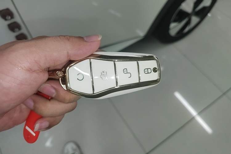Used BYD Dolphin 2023 420 km Fashion Edition Vehicle Key