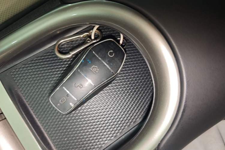 Used BYD Dolphin 2023 420 km Free Version Vehicle Key