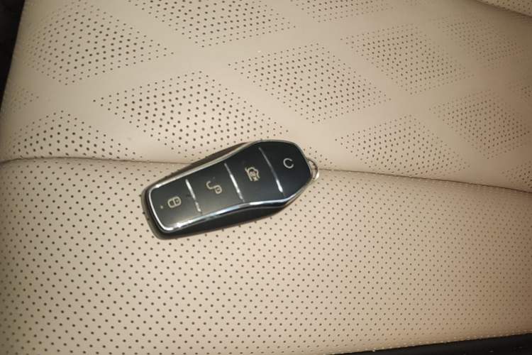 Used BYD Dolphin 2023 420 km Fashion Edition Vehicle Key