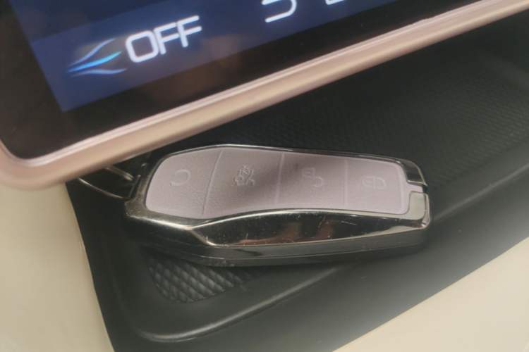 Used BYD Dolphin 2023 420 km Fashion Edition Vehicle Key