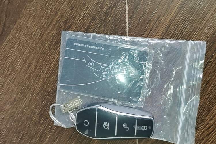 Used BYD Dolphin 2023 420 km Fashion Edition Vehicle Key