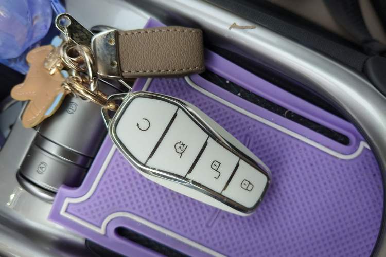 Used BYD Dolphin 2023 420 km Free Version Vehicle Key