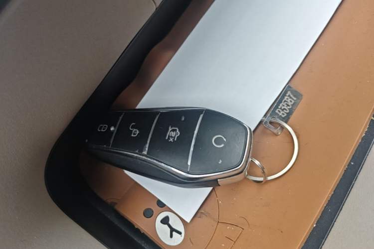 Used BYD Dolphin 2023 420 km Fashion Edition Vehicle Key