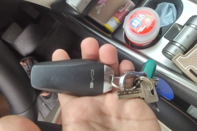Used BYD Dolphin 2023 420 km Fashion Edition Vehicle Key
