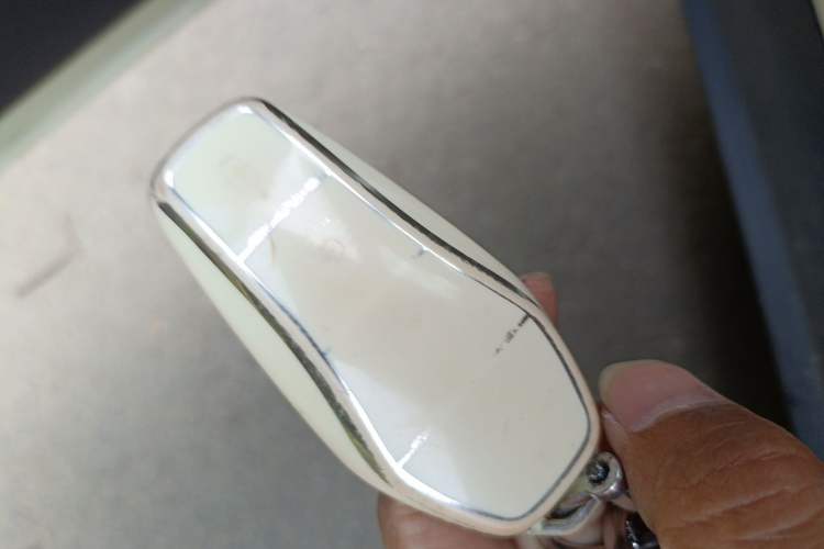 Used BYD Dolphin 2023 420 km Fashion Edition Vehicle Key