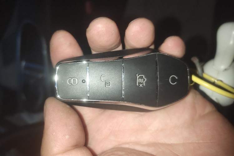 Used BYD Dolphin 2023 420 km Free Version Vehicle Key