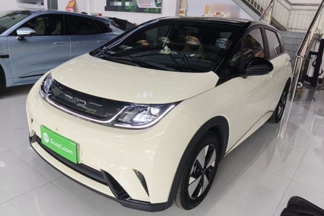 Used BYD Dolphin 2023 420 km Free Version
