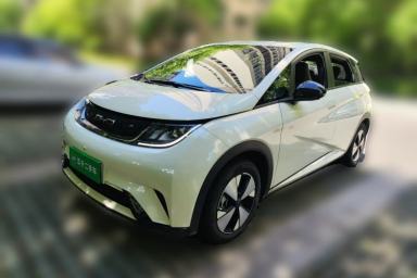 Used BYD Dolphin 2023 420 km Free Version