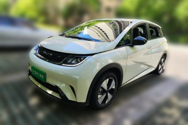 Used BYD Dolphin 2023 420 km Free Version