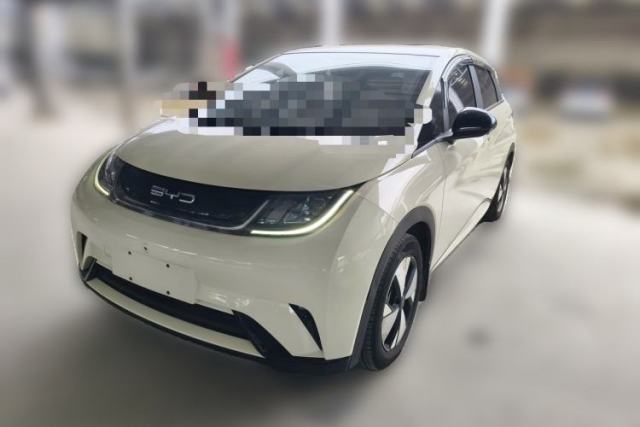 Used BYD Dolphin 2023 420 km Free Version