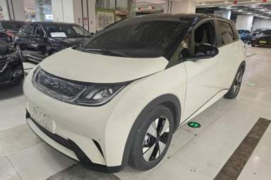 Used BYD Dolphin 2023 420 km Fashion Edition