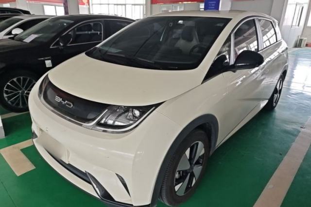 Used BYD Dolphin 2023 420 km Free Version