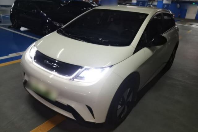 Used BYD Dolphin 2023 420 km Free Version