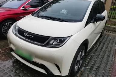 Used BYD Dolphin 2023 420 km Free Version
