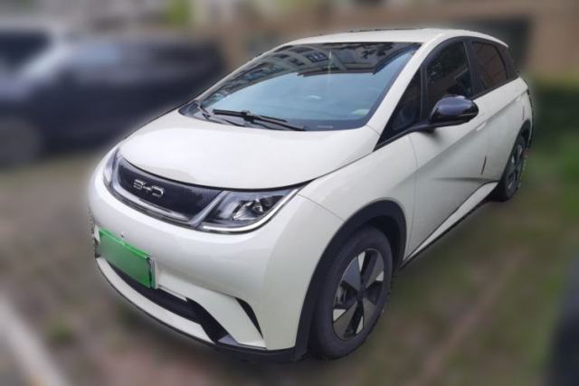 Used BYD Dolphin 2023 420 km Free Version