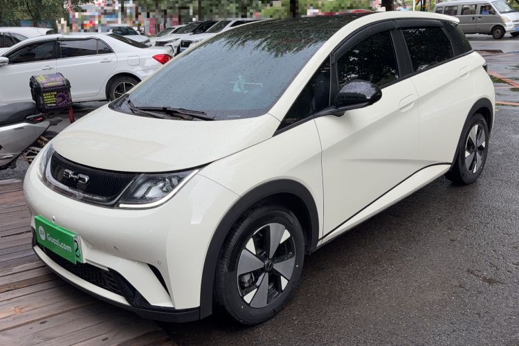 Used BYD Dolphin 2023 420 km Fashion Edition Guazi used car, China used car export, Used car for sale, Used  cars, Cheapest cars for sale