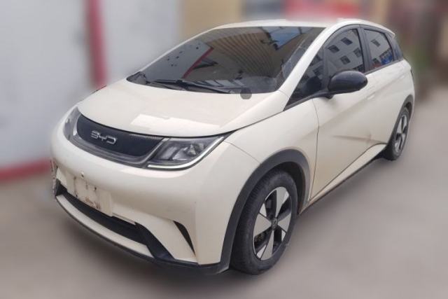 Used BYD Dolphin 2023 420 km Free Version