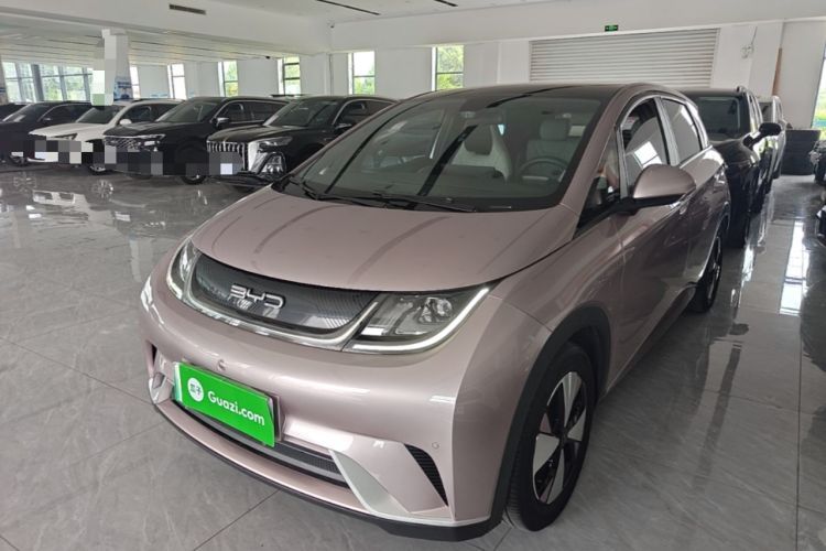 Używany BYD Dolphin 2023 420 km Fashion Edition Guazi used car, China used car export, Used car for sale, Used  cars, Cheapest cars for sale