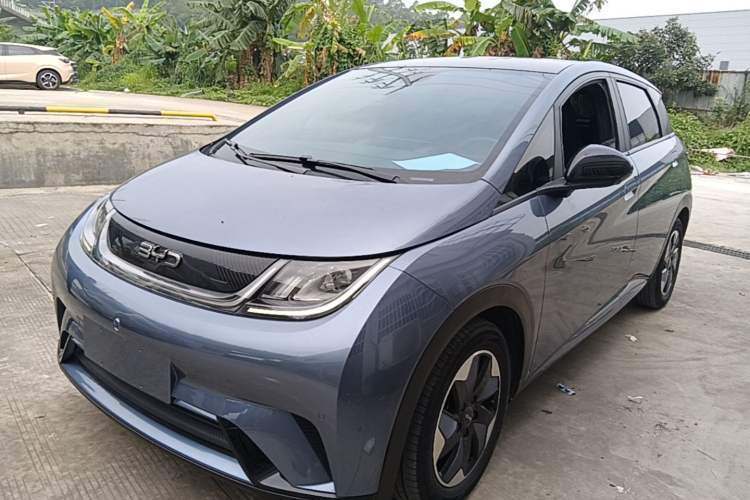 Used BYD Dolphin 2024 Honor Edition 420km Fashion Version Guazi used car, China used car export, Used car for sale, Used  cars, Cheapest cars for sale