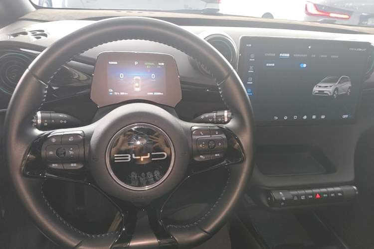 Used BYD Dolphin 2024 Honor Edition 420km Fashion Version Center Console