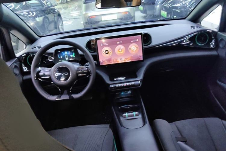 Used BYD Dolphin 2024 Honor Edition 420km Freedom Version Center Console