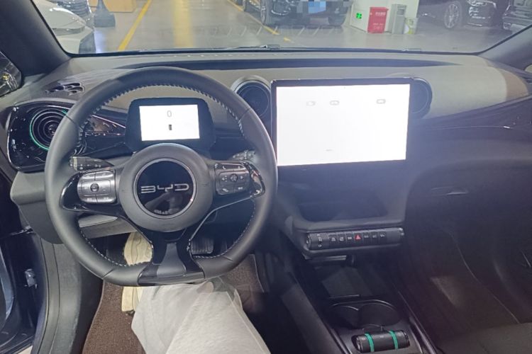 Used BYD Dolphin 2024 Honor Edition 420km Fashion Version Center Console