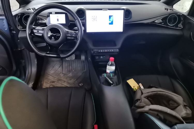 Used BYD Dolphin 2024 Honor Edition 420km Fashion Version Center Console