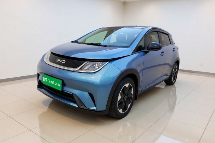 BYD Dolphin 2024 Honor Edition 420km Freedom Version