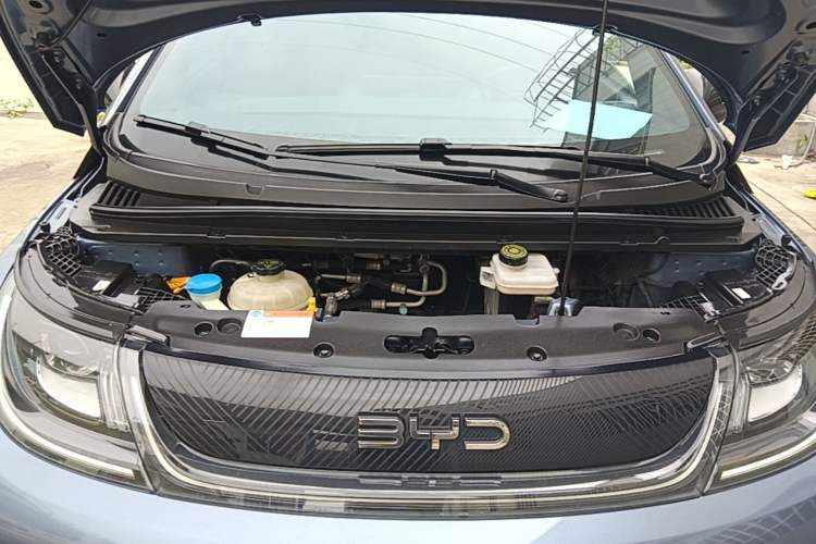 Used BYD Dolphin 2024 Honor Edition 420km Fashion Version Engine Bay