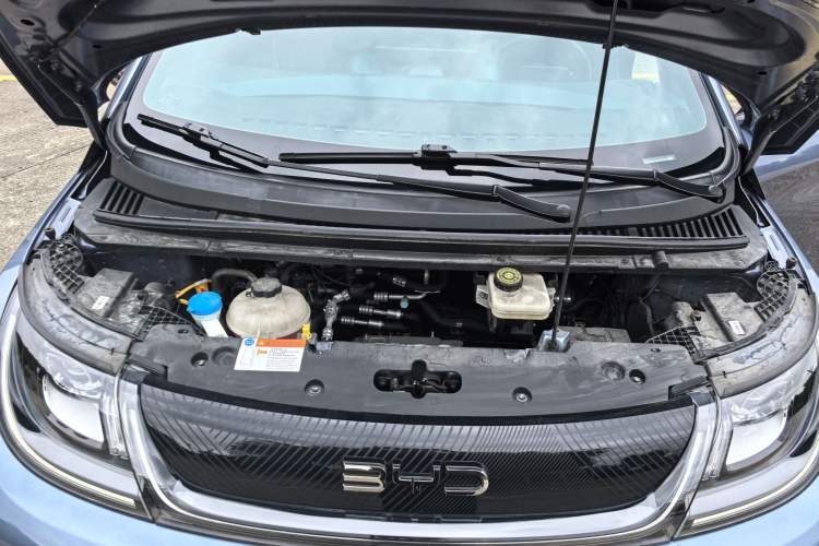 Used BYD Dolphin 2024 Honor Edition 420km Fashion Version Engine Bay
