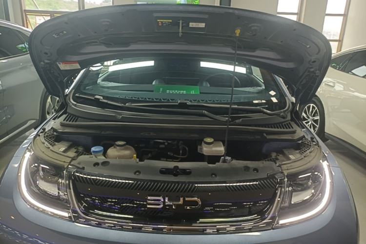 Used BYD Dolphin 2024 Honor Edition 420km Fashion Version Engine Bay