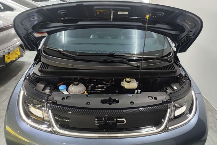 Used BYD Dolphin 2024 Honor Edition 420km Fashion Version Engine Bay