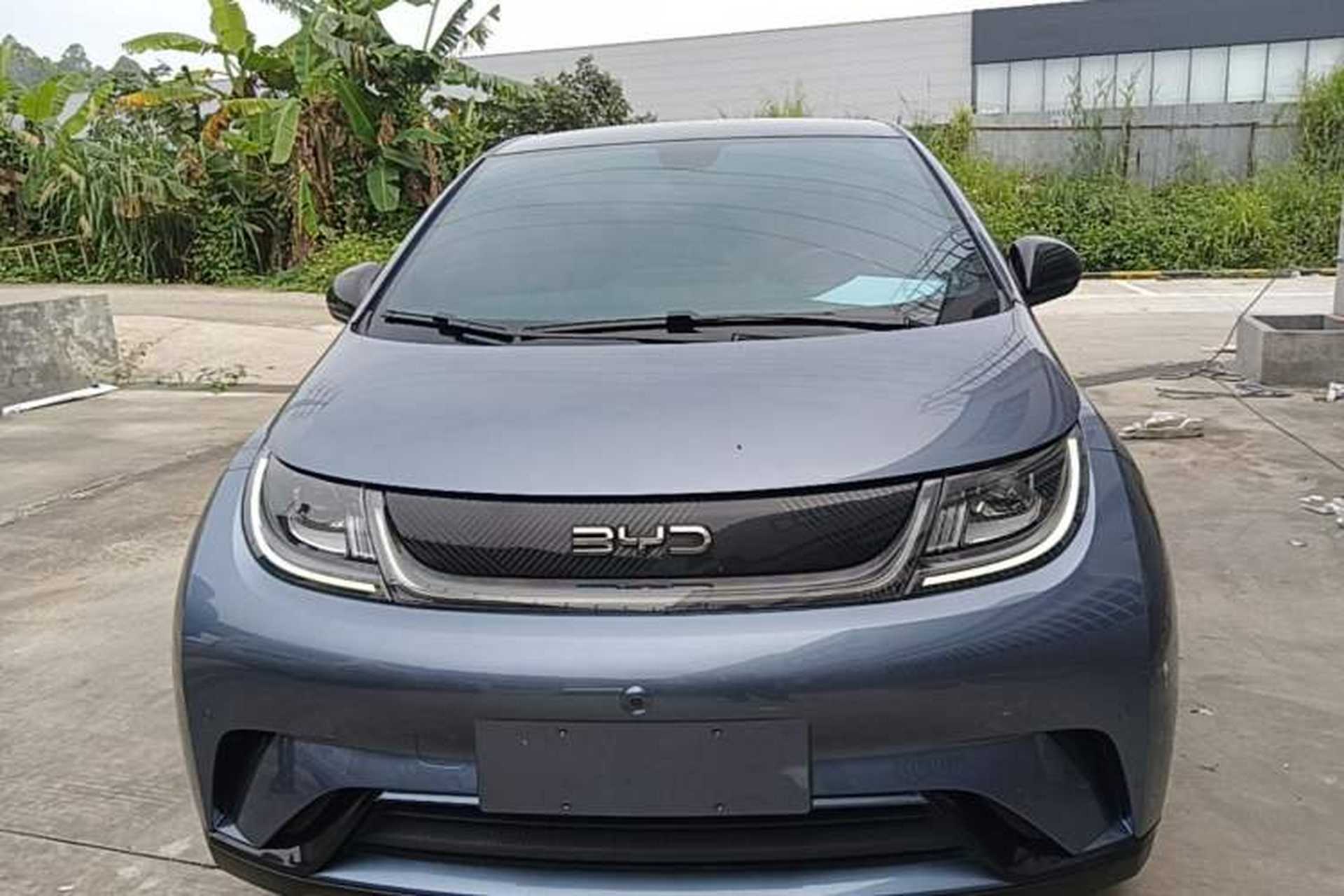 Used BYD Dolphin 2024 Honor Edition 420km Fashion Version Front