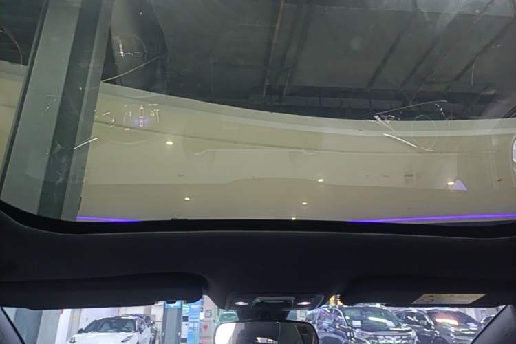 Used BYD Dolphin 2024 Honor Edition 420km Fashion Version Headliner