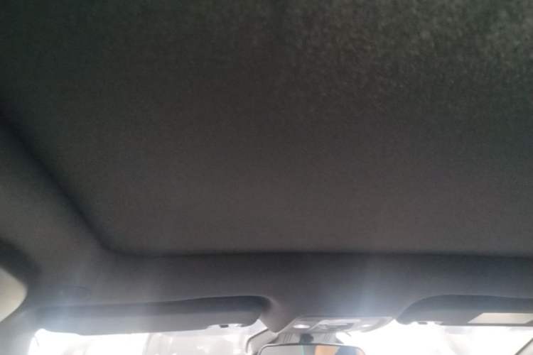 Used BYD Dolphin 2024 Honor Edition 401km Knight Edition Headliner