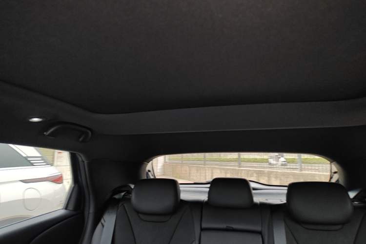 Used BYD Dolphin 2024 Honor Edition 420km Fashion Version Headliner