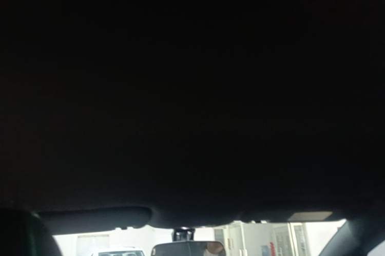 Used BYD Dolphin 2024 Honor Edition 420km Freedom Version Headliner