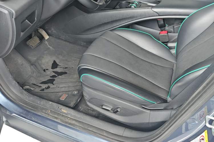 Used BYD Dolphin 2024 Honor Edition 420km Fashion Version Left Front Seat