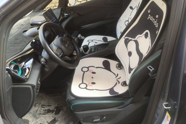 Used BYD Dolphin 2024 Honor Edition 420km Freedom Version Left Front Seat
