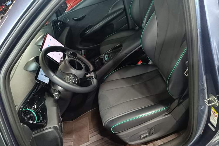 Used BYD Dolphin 2024 Honor Edition 420km Fashion Version Left Front Seat