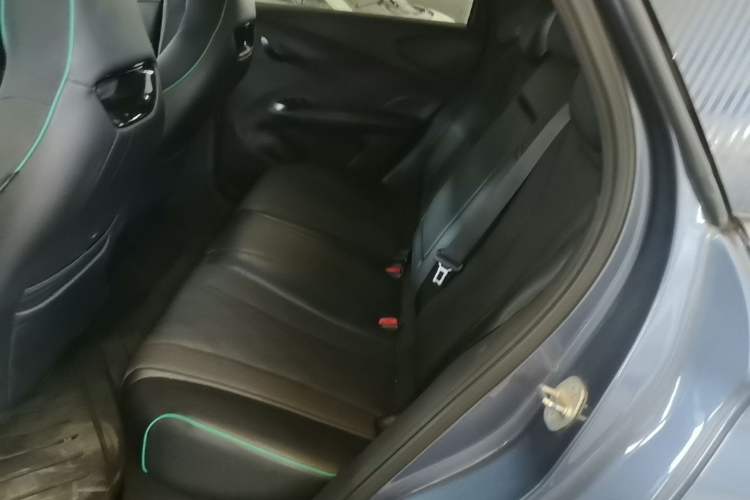 Used BYD Dolphin 2024 Honor Edition 420km Fashion Version Left Rear Seat
